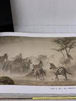 おきて 愛蔵版 小学館 岩合 光昭