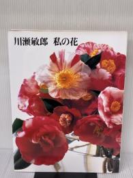 川瀬敏郎私の花 講談社 川瀬 敏郎