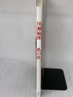 川瀬敏郎私の花 講談社 川瀬 敏郎