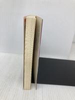 怪盗シルバーアイ幽霊事件 (講談社X文庫 か 2-42 ティーンズハート) 講談社 風見 潤