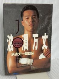 波瀾万丈: 辰吉丈一郎自伝 ベースボール・マガジン社 辰吉 丈一郎