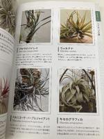 多肉植物ハンディ図鑑 主婦の友社 羽兼 直行