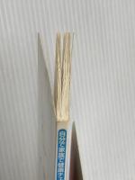 自分で家族で健康チェック! 聴診器ブック 日本実業出版社 桐生 迪介