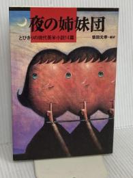 夜の姉妹団: とびきりの現代英米小説14篇 朝日新聞出版 柴田 元幸