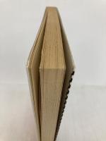 やさしい死活 (囲碁双書 6) 棋苑図書 坂田 栄男