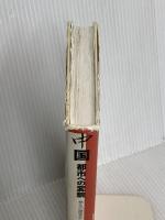 中国　都市への変貌 : 悠久の歴史から読み解く持続可能な未来 鹿島出版会 ジョン フリードマン