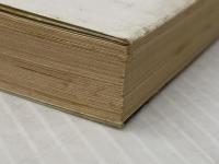 ※イタミ有 バーサーカー赤方偏移の仮面 (1980年) (早川文庫―SF)  フレッド・セイバーヘーゲン