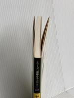 ヤマトの王墓・桜井茶臼山古墳・メスリ山古墳 (シリーズ「遺跡を学ぶ」 49) 新泉社 千賀 久