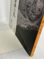 筑紫君磐井と「磐井の乱」・岩戸山古墳 (シリーズ「遺跡を学ぶ」094) 新泉社 柳沢 一男