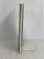 筑紫君磐井と「磐井の乱」・岩戸山古墳 (シリーズ「遺跡を学ぶ」094) 新泉社 柳沢 一男