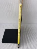 ジャージーぬいぐるみ: アランジアロンゾのかわいいものをつくろう! 文化出版局 アランジ アロンゾ