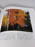 アクリル画の基本技法 (アート・ペインティングライブラリー アクリル技法 1) 美術出版社 ウェンドン ブレーク