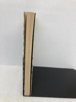 技の手紙―森亮介の「こけし追求」 みずち書房 佐藤光良