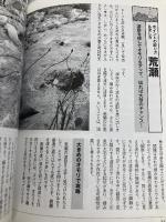 【※CD欠品】渓流釣り入門: シンプル・イズ・ベストの仕掛けで“泳ぐ宝石”に出会うノウハウを網羅した超バイブル誕生 (The New Standard BOOK 1) つり人社 白滝 治郎