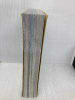 【※カバー無し】ファイナルファンタジーIX アルティマニア デジキューブ スタジオベントスタッフ