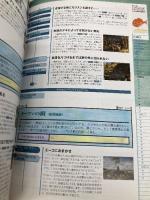 【※カバー無し】ファイナルファンタジーIX アルティマニア デジキューブ スタジオベントスタッフ