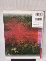 【※難あり】情報の歴史 増補版: 象形文字から人工知能まで (BOOKS IN・FORM special) エヌティティ出版 編集工学研究所