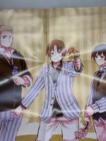 【※付属品一部欠品】ヘタリア Axis Powers　ARTBOOK ArteStella 幻冬舎コミックス 日丸屋秀和