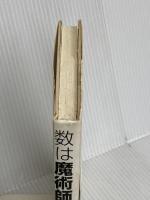 数は魔術師 白揚社 マーヴィン スターン