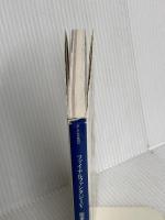 ファイナルファンタジー5 完全攻略編 エヌティティ出版