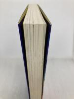 星のカービィ 天駆ける船と虚言の魔術師 KADOKAWA 高瀬 美恵