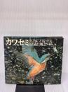 カワセミ: 清流に翔ぶ 平凡社 嶋田 忠