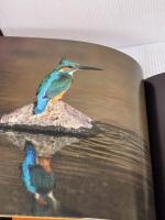 カワセミ: 清流に翔ぶ 平凡社 嶋田 忠