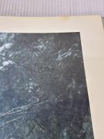 カワセミ: 清流に翔ぶ 平凡社 嶋田 忠