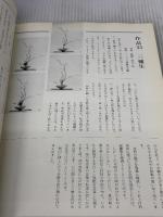 【※カバー無し】池坊生花研究　基本と変化  横山夢草