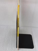 【※書き込み有り】490円のパソコン講座1 すぐ効くウィンドウズXP SP2対応版 (日経BPパソコンベストムック 490円のパソコン講座 1)