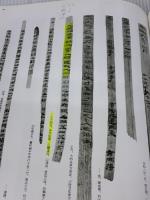 【※イタミ・書き込み有り】木簡・竹簡・帛書［漢・晋/隷書］ (中国法書選 10) 二玄社 田中東竹