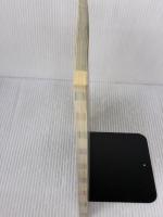 iPodベーシックガイド (アスキームック) アスキー