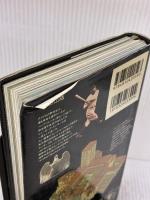 ニューヨーク (旅する21世紀ブック望遠郷 12 アメリカ) 角川書店(同朋舎) ガリマール社