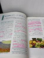 【※書き込み有り】カラーコーディネーションの基礎: カラーコーディネーター検定試験3級公式テキスト