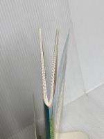 Wee Sing in the Car Price Stern Sloan Pamela ConnBeall