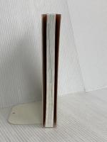 30日で英語が話せるマルチリンガルメソッド かんき出版 新条 正恵