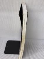 スコアブック 銀杏BOYZ 君と僕の第三次世界大戦的恋愛革命 リットーミュージック