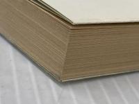 アフリカの女王 (1979年) (ハヤカワ文庫―NV)  セシル・スコット・フォレスター