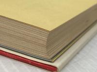 ※イタミ有 気どっちゃダメよ―郁恵のピチピチ青春論 (1979年) (明星デュエット・ブックス)