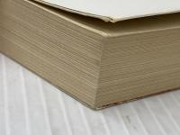 原生林の追撃 (1984年) (ハヤカワ文庫 NV) 早川書房 デズモンド・バグリイ