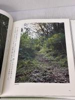 太陽と大自然の神々の地、伊勢 武田ランダムハウスジャパン 伊勢白山道