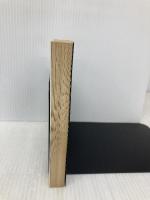 青の騎士(ブルーナイト)ベルゼルガ物語〈1〉 (ソノラマ文庫 307) 朝日ソノラマ はま まさのり