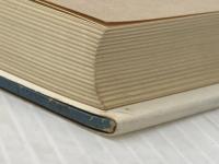 ※イタミ有 引き裂かれた心と体: 身体の背信 創元社 アレクサンダー・ローウェン