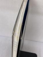 アムネシア 公式ビジュアルファンブック (B's-LOG COLLECTION) エンターブレイン