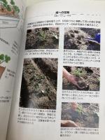 イチゴ (NHK趣味の園芸 よくわかる栽培12か月) NHK出版 矢部 和則