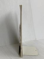 「個性」を煽られる子どもたち: 親密圏の変容を考える (岩波ブックレット NO. 633) 岩波書店 土井 隆義