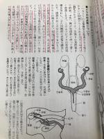 ネコの繁殖と保育を知る本　発情から子育てまですべてがわかる モンキーブックス 村杉栄治・小暮規夫・天野正　他