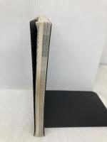 ロマンシングサ・ガ3 完全攻略編 エヌティティ出版