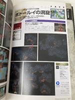 ロマンシングサ・ガ3 完全攻略編 エヌティティ出版