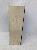 カーニバル・デイ: 新人類の記念日 (講談社ノベルス セA- 6) 講談社 清涼院 流水